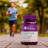 Tribulus Terrestris 500mg - 30 Cápsulas